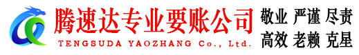 曾都腾速达清债公司